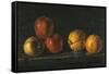 Still-Life with Oranges-Jacques Charles Oudry-Framed Stretched Canvas