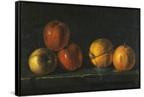 Still-Life with Oranges-Jacques Charles Oudry-Framed Stretched Canvas