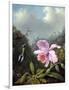 Still Life with Orchid and Pair of Hummingbirds, C.1890S-Martin Johnson Heade-Framed Giclee Print