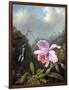 Still Life with Orchid and Pair of Hummingbirds, C.1890S-Martin Johnson Heade-Framed Giclee Print