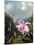 Still Life with Orchid and Pair of Hummingbirds, C.1890S-Martin Johnson Heade-Mounted Giclee Print