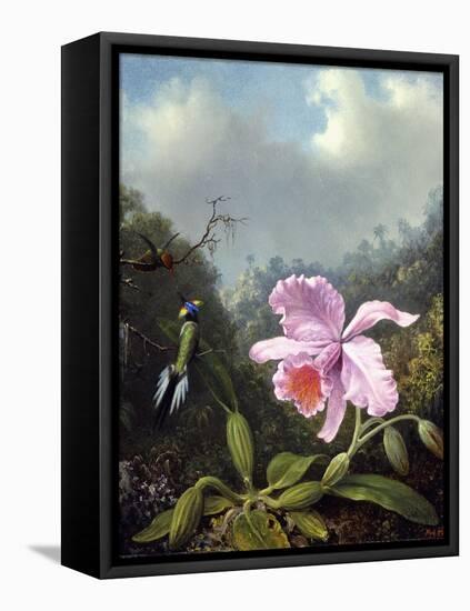 Still Life with Orchid and Pair of Hummingbirds, C.1890S-Martin Johnson Heade-Framed Stretched Canvas