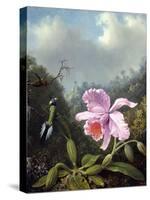 Still Life with Orchid and Pair of Hummingbirds, C.1890S-Martin Johnson Heade-Stretched Canvas