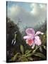 Still Life with Orchid and Pair of Hummingbirds, C.1890S-Martin Johnson Heade-Stretched Canvas