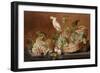 Still Life with Parrot, c.1640-Roloef Koets-Framed Giclee Print