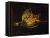 Still Life with Partridge-Alexandre-Francois Desportes-Framed Stretched Canvas