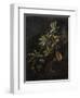 Still Life with Passionflowers-Elias Van Den Broeck-Framed Art Print