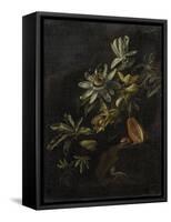 Still Life with Passionflowers-Elias Van Den Broeck-Framed Stretched Canvas