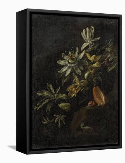 Still Life with Passionflowers-Elias Van Den Broeck-Framed Stretched Canvas