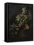 Still Life with Passionflowers-Elias Van Den Broeck-Framed Stretched Canvas