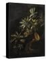 Still Life with Passionflowers-Elias Van Den Broeck-Stretched Canvas
