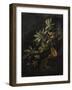 Still Life with Passionflowers-Elias Van Den Broeck-Framed Art Print