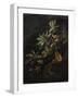 Still Life with Passionflowers-Elias Van Den Broeck-Framed Art Print