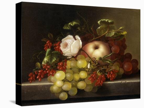 Still Life with Peach, Grapes and Rosehips, 1865-Adelheid Dietrich-Stretched Canvas