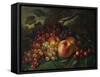 Still Life with Peaches and Grapes, 1863-Frederic Edwin Church-Framed Stretched Canvas