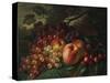 Still Life with Peaches and Grapes, 1863-Frederic Edwin Church-Stretched Canvas