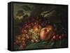 Still Life with Peaches and Grapes, 1863-Frederic Edwin Church-Framed Stretched Canvas