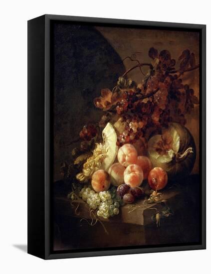 Still Life with Peaches, Late 17th or Early 18th Century-Jan Frans van Son-Framed Stretched Canvas