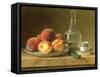 Still Life with Peaches-Gerard Van Spaendonck-Framed Stretched Canvas
