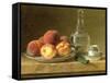 Still Life with Peaches-Gerard Van Spaendonck-Framed Stretched Canvas