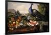 Still Life with Peacock-Luis Portu-Framed Giclee Print