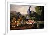 Still Life with Peacock-Luis Portu-Framed Giclee Print