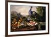 Still Life with Peacock-Luis Portu-Framed Giclee Print