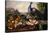 Still Life with Peacock-Luis Portu-Stretched Canvas