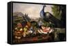 Still Life with Peacock-Luis Portu-Framed Stretched Canvas