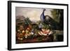 Still Life with Peacock-Luis Portu-Framed Giclee Print