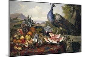 Still Life with Peacock-Luis Portu-Mounted Giclee Print