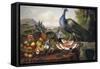 Still Life with Peacock-Luis Portu-Framed Stretched Canvas