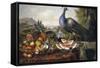Still Life with Peacock-Luis Portu-Framed Stretched Canvas