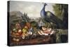 Still Life with Peacock-Luis Portu-Stretched Canvas