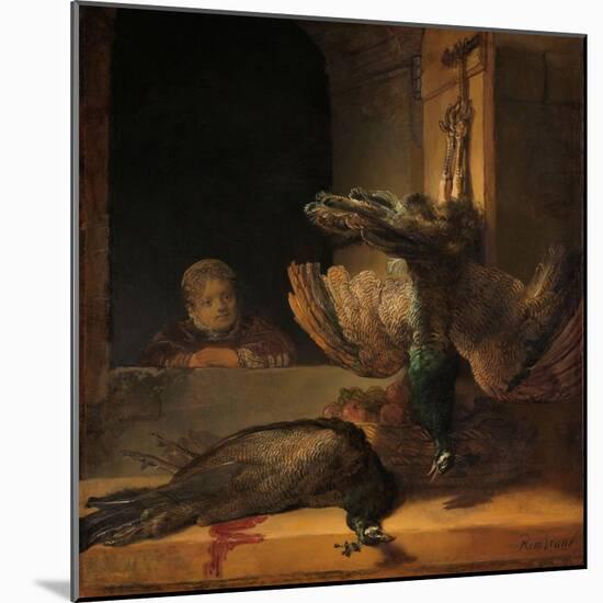 Still Life with Peacocks, c.1639-Rembrandt Harmensz. van Rijn-Mounted Giclee Print