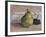 Still Life with Pear and Grapes-Egisto Paolo Fabbri-Framed Art Print