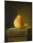 Still-life with pear and insects. 1765-Justus Juncker-Mounted Giclee Print