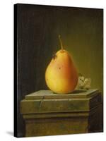 Still-life with pear and insects. 1765-Justus Juncker-Stretched Canvas