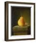 Still-life with pear and insects. 1765-Justus Juncker-Framed Giclee Print