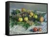 Still Life with Pears and Grapes, 1880-Claude Monet-Framed Stretched Canvas
