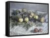 Still Life with Pears and Grapes-Claude Monet-Framed Stretched Canvas