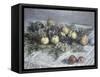 Still Life with Pears and Grapes-Claude Monet-Framed Stretched Canvas