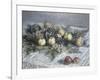 Still Life with Pears and Grapes-Claude Monet-Framed Giclee Print