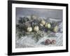 Still Life with Pears and Grapes-Claude Monet-Framed Giclee Print