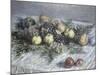 Still Life with Pears and Grapes-Claude Monet-Mounted Giclee Print