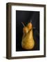 Still Life with Pears-Studio-Neosiam-Framed Photographic Print