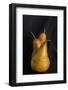 Still Life with Pears-Studio-Neosiam-Framed Photographic Print