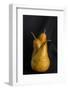 Still Life with Pears-Studio-Neosiam-Framed Photographic Print