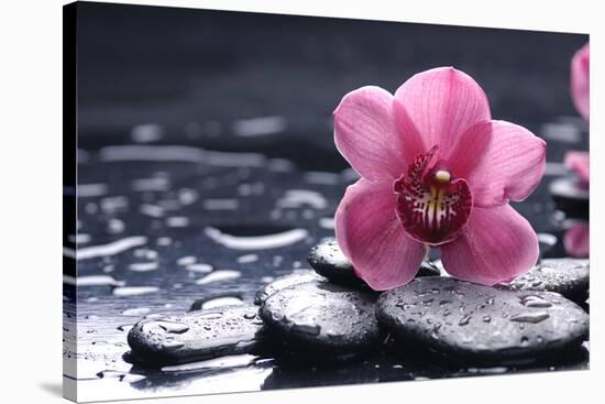 Still Life with Pebble and Macro of Orchid with Water Drops-crystalfoto-Stretched Canvas