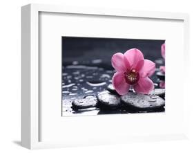 Still Life with Pebble and Macro of Orchid with Water Drops-crystalfoto-Framed Photographic Print